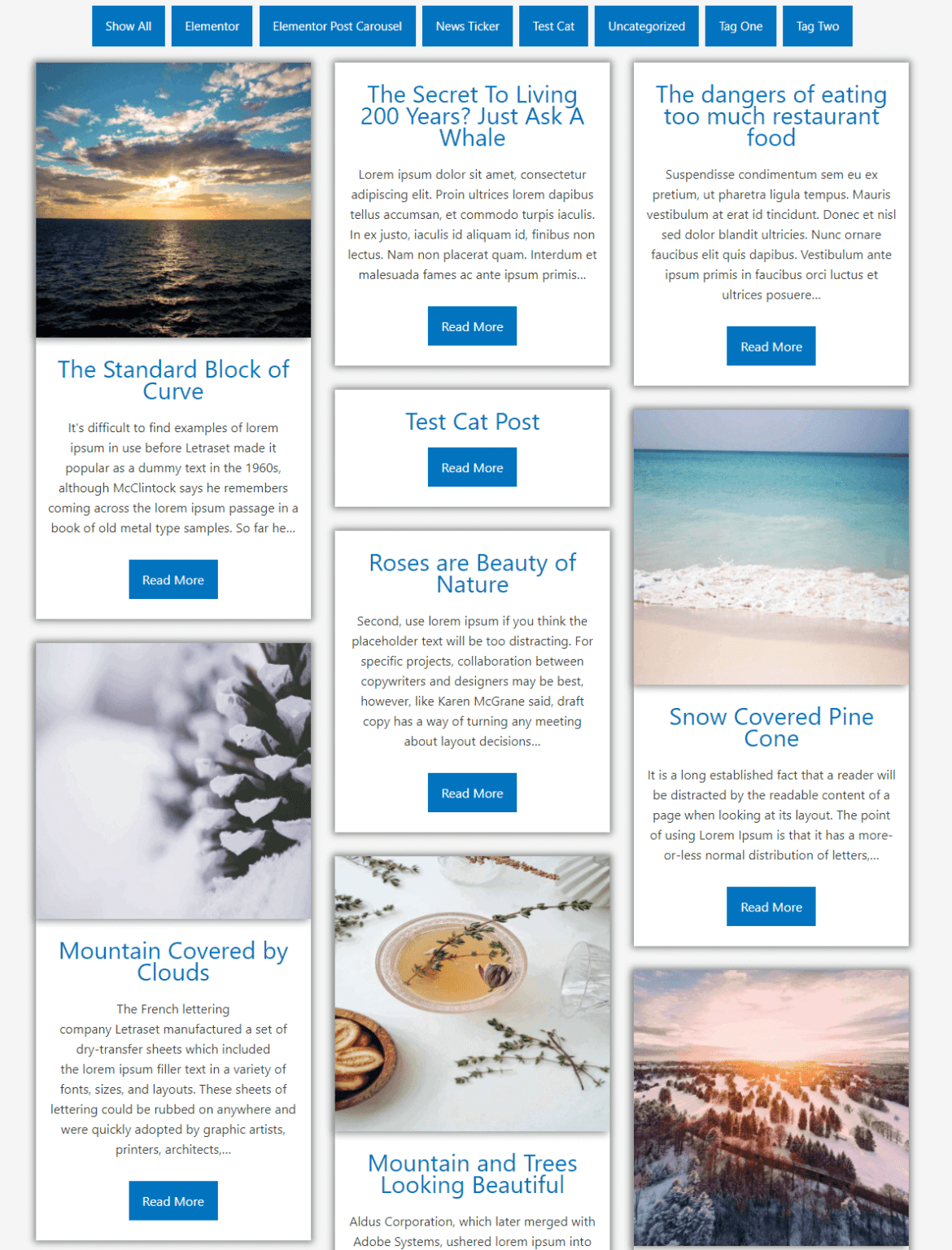 Elementor Blog Post and Category Filter Plugin Devs