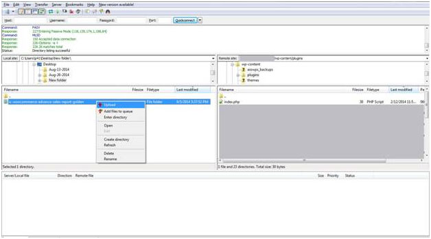 Plug-in Deployment Steps