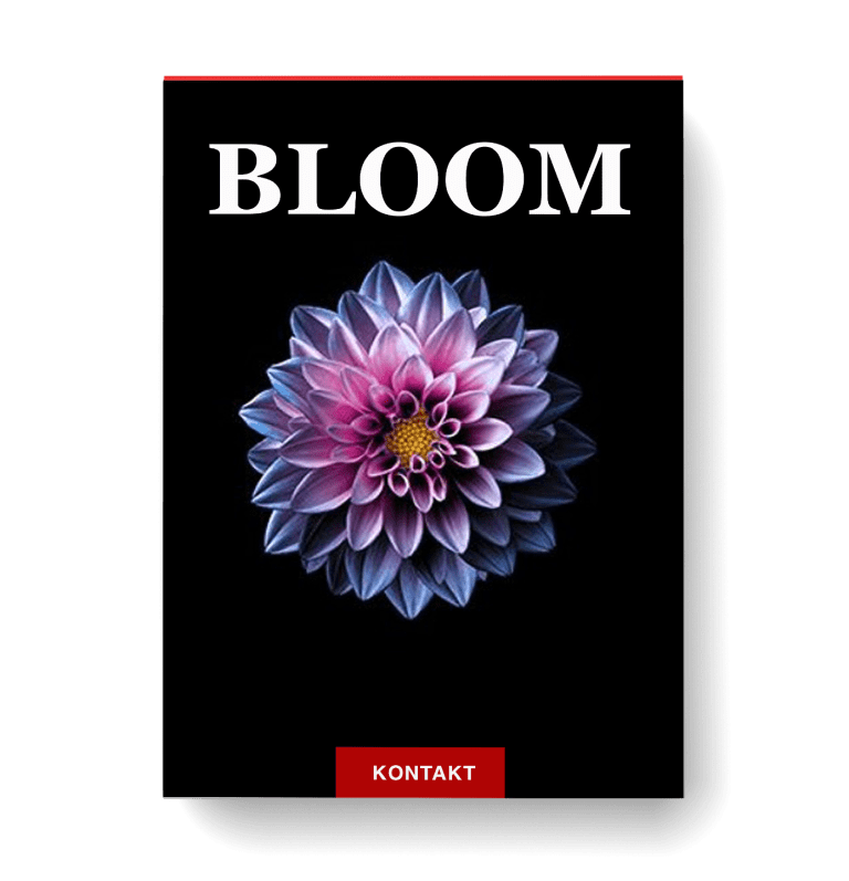 Naroth Audio Bloom Download