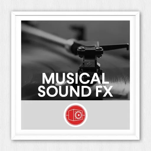 Big Room Sound Musical Sound Effects WAV Plugintorrent