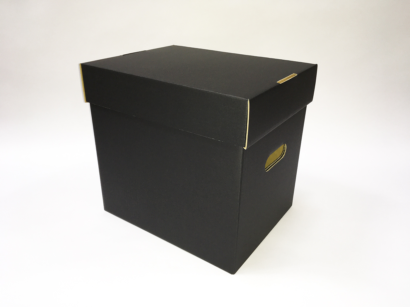 12" / LP Record Storage Box with Lid BLACK (Made in Japan) Plug