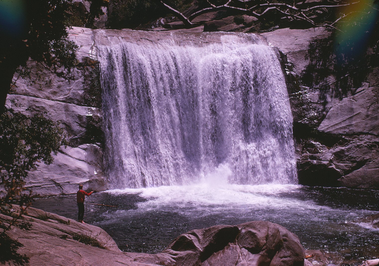 Remembering Conservation Histories "Very ForestMindedly Yours