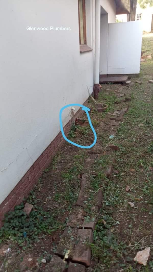 Glenwood plumbers