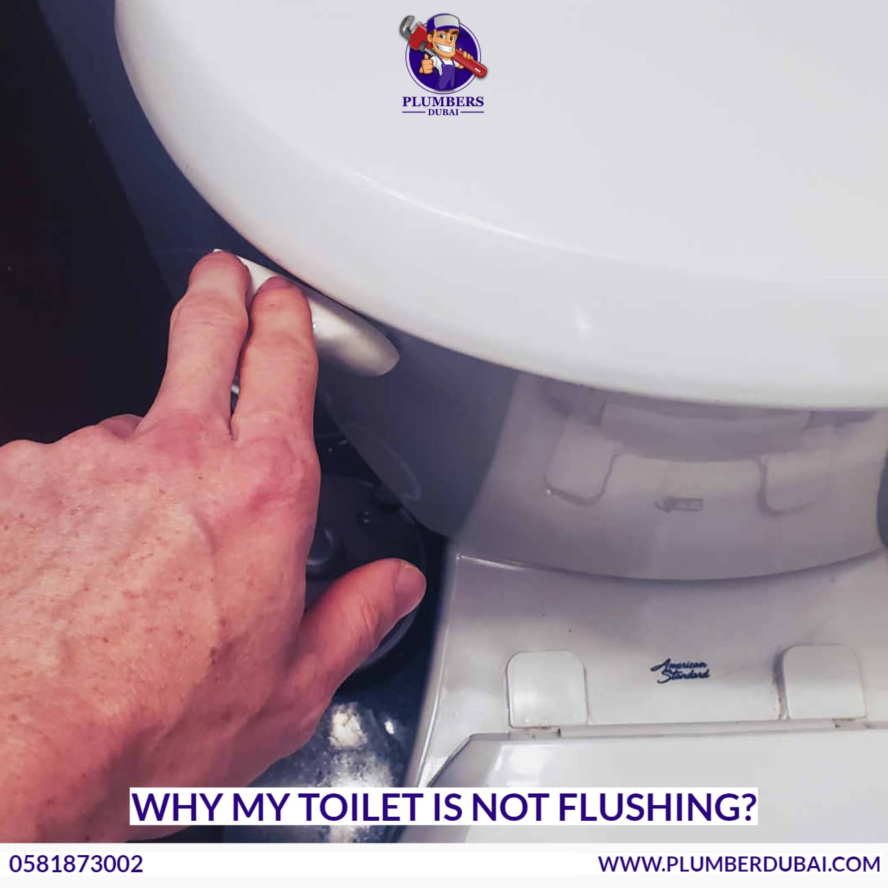 Why My Toilet Is Not Flushing 0581873002 Plumber Dubai