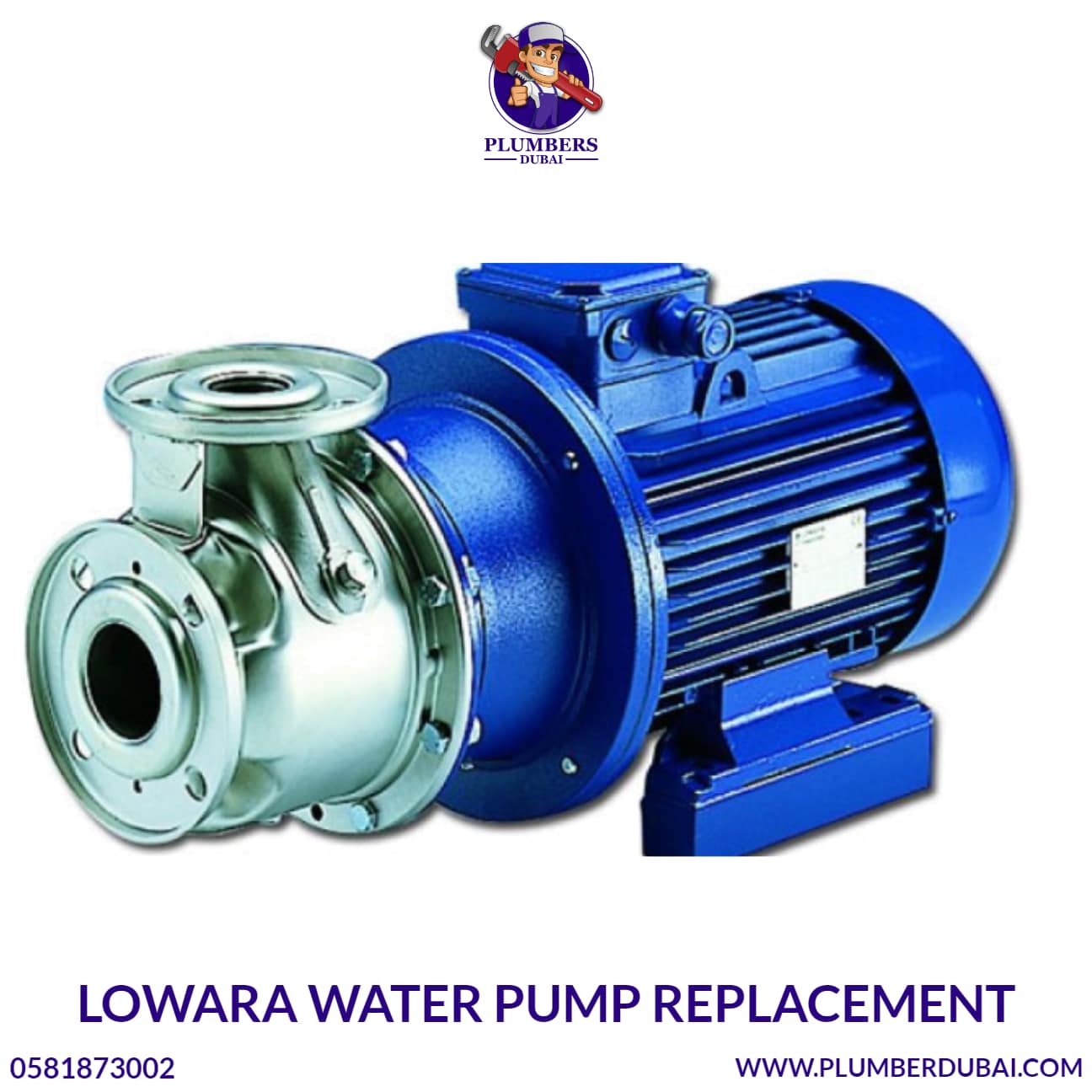 Lowara Water Pump Replacement 0581873002 24/7