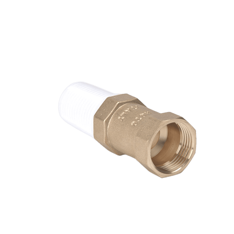 Water Pump Foot Check Valve Premium Residential Valves and Fittings Factory