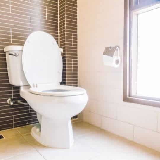 Worst Toilet Brands You Should Know About!