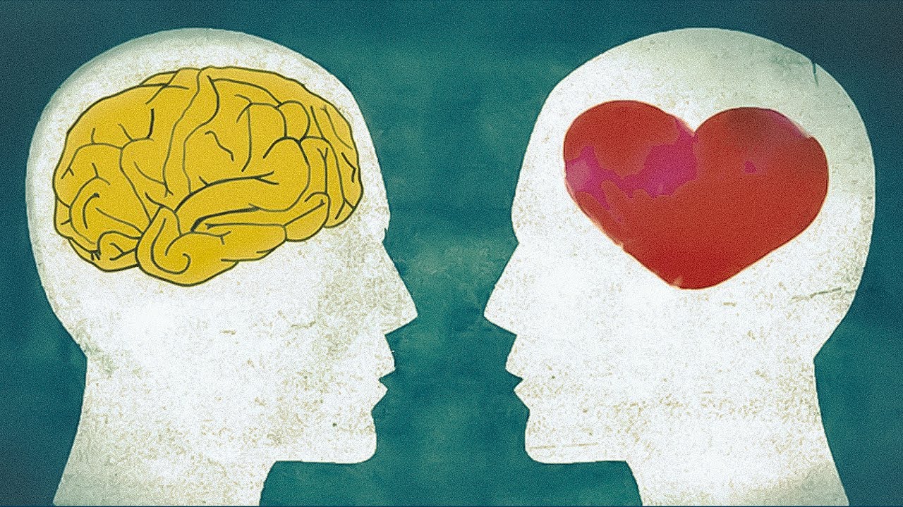 Gerber adds Hinsdale Suite Plumbing Perspective News, Product