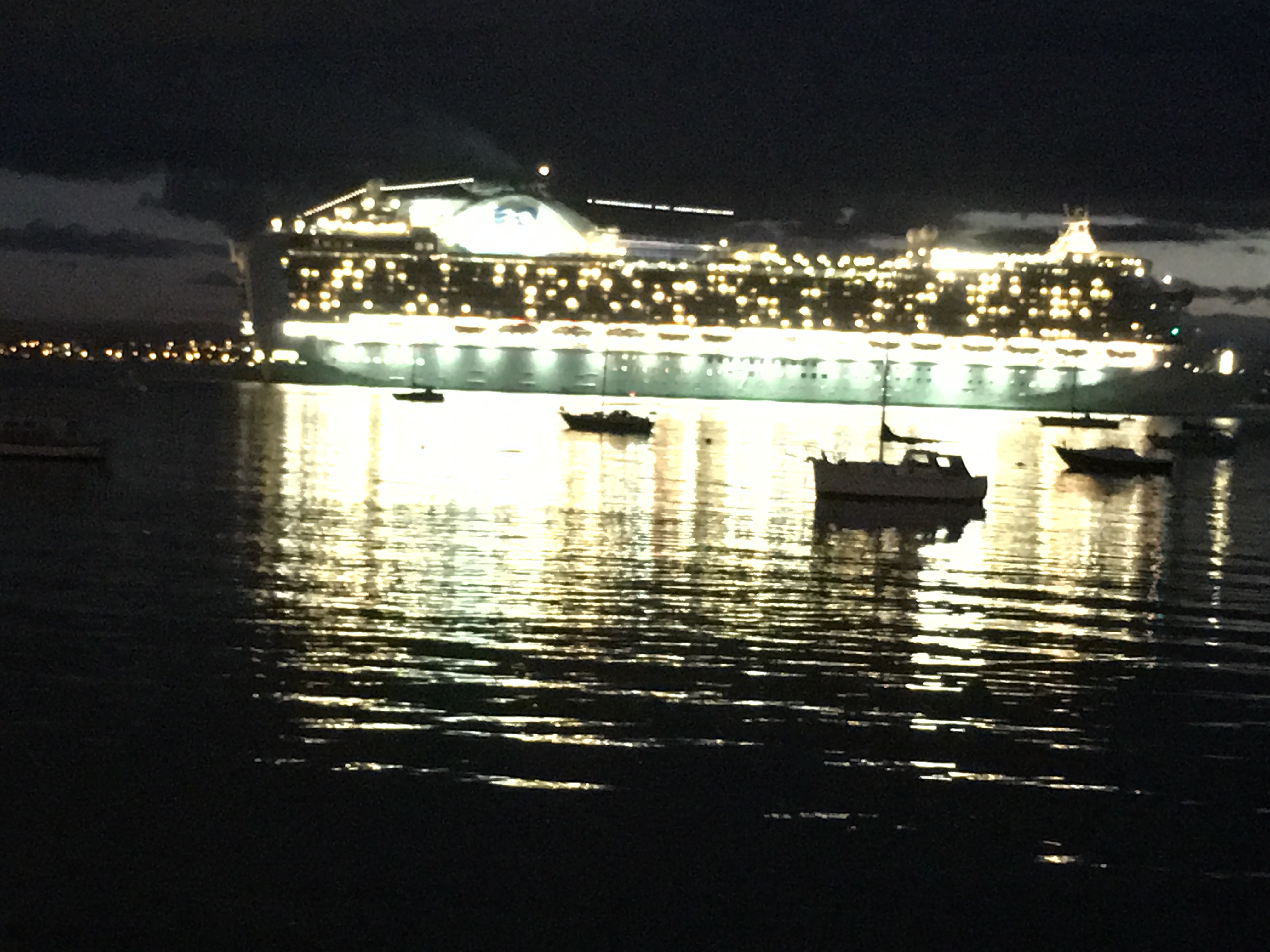 Cruise Ship Departing Pilot Bay Plum Bird CornerPlum