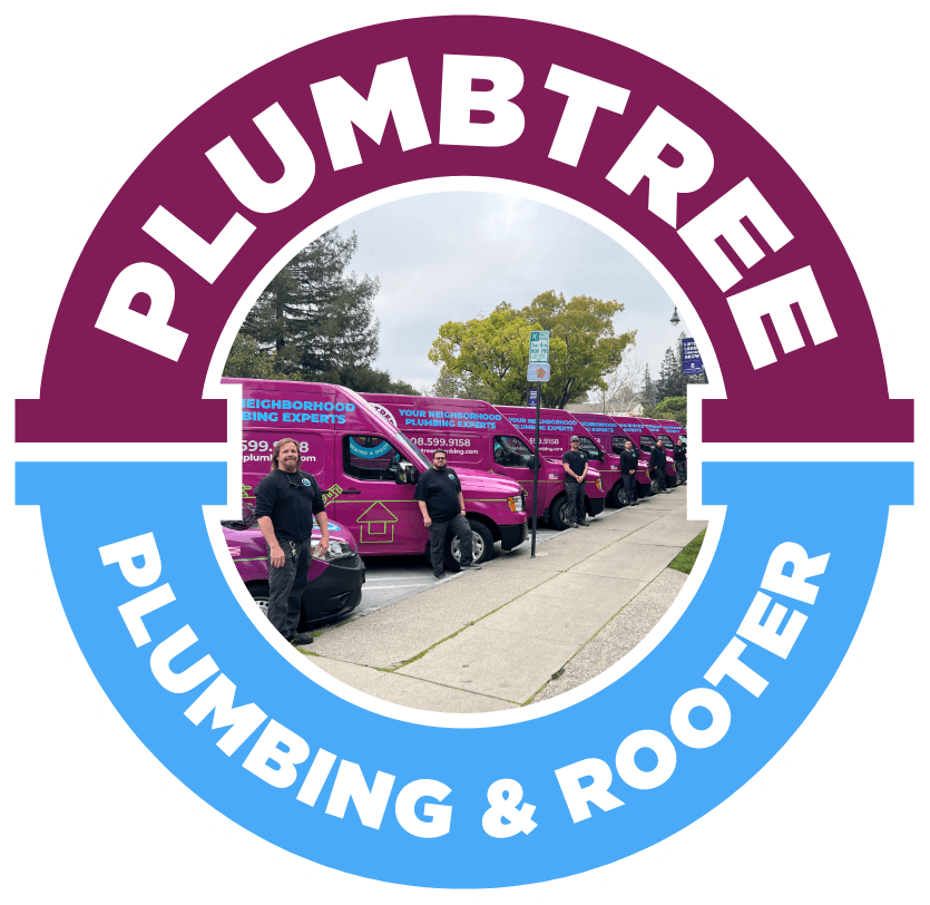 Plumbing Repair Campbell CA Plumbtree Plumbing & Rooter