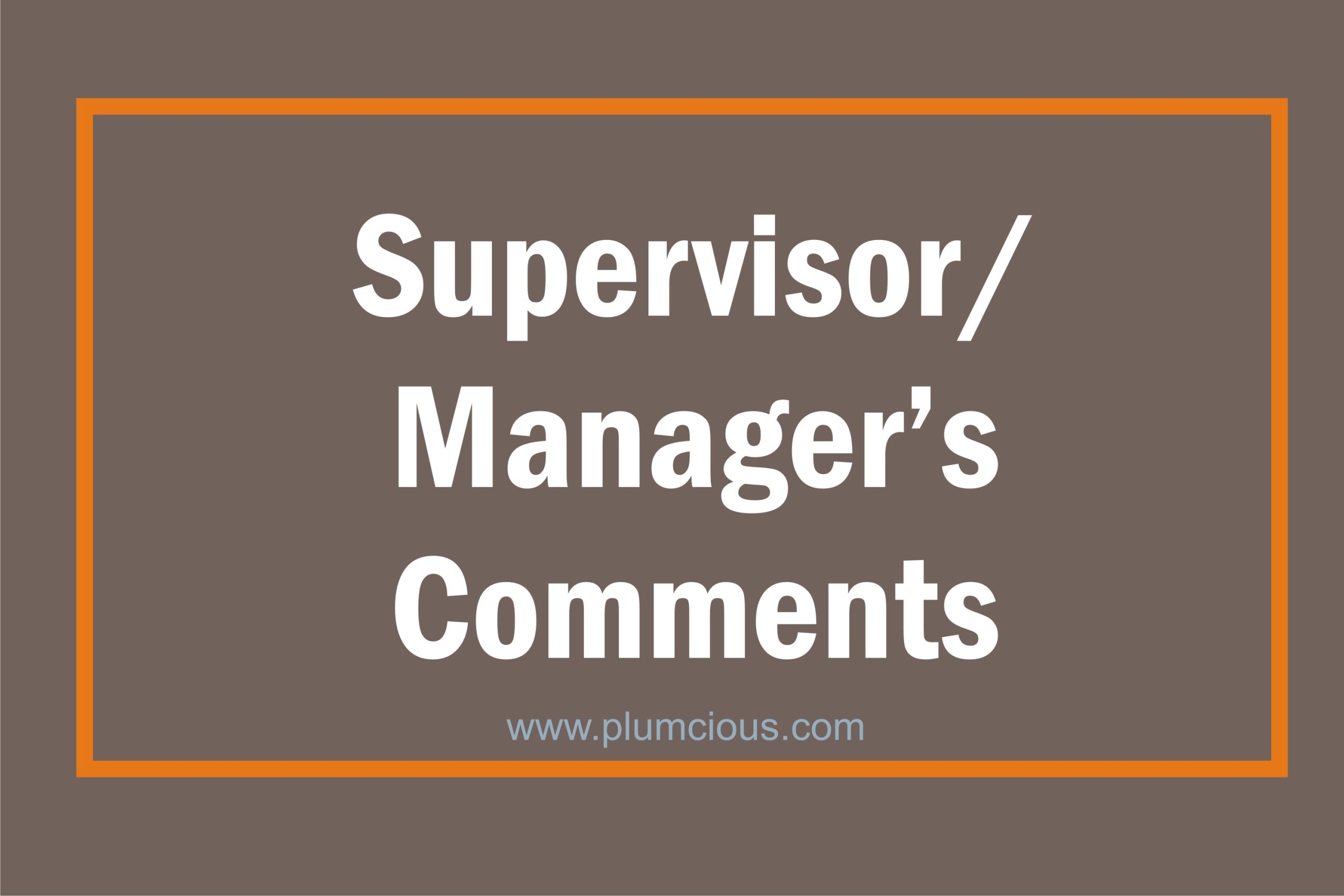 Manager And Supervisor Comments And (110 Samples Performance Reviews, Comments