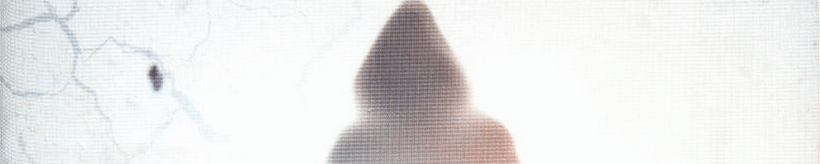 Juste une ombre par GIEBEL, KARINE renaud-bray.com