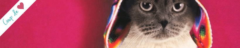 Résultat de recherche d'images pour "Demain j'arrête ! de Gilles Legardinier"