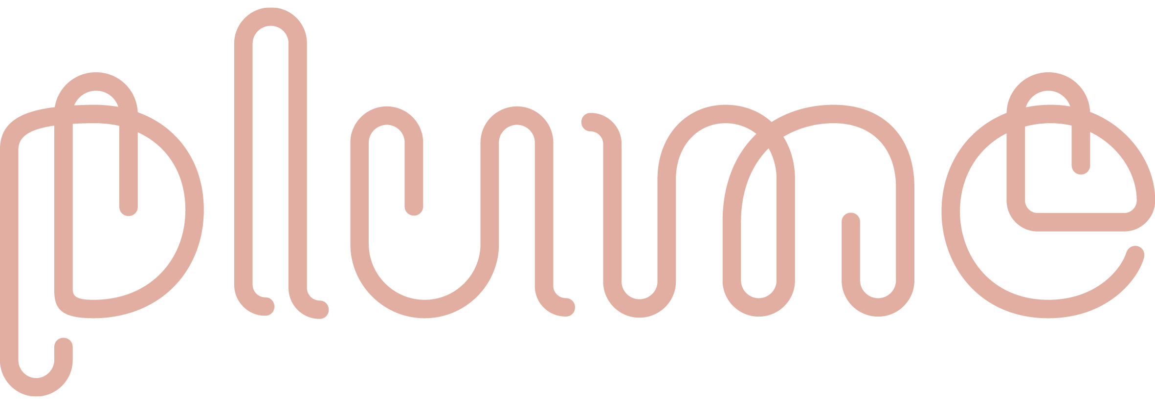 Individual Boxes Plume Cafe