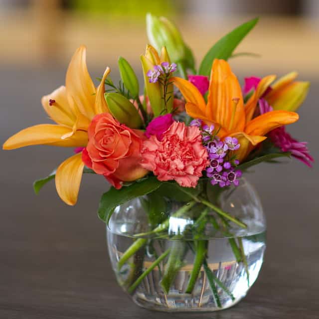 Beautiful Fresh Cut Flowers Plumeria Botanical Boutique