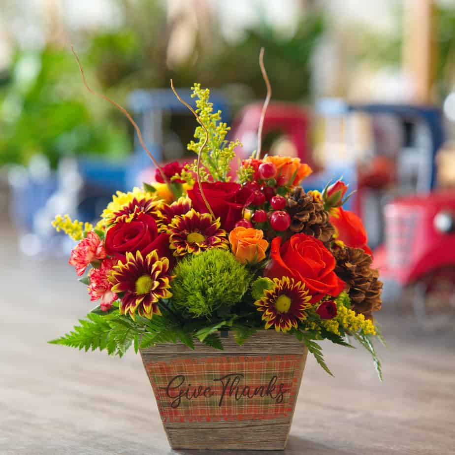 Autumn Blooms Plumeria Botanical Boutique