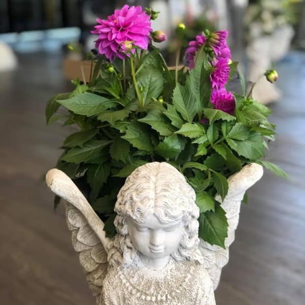 Large Concrete Angel Planter Plumeria Botanical Boutique