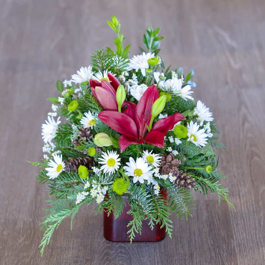 Winter Lilies Plumeria Botanical Boutique