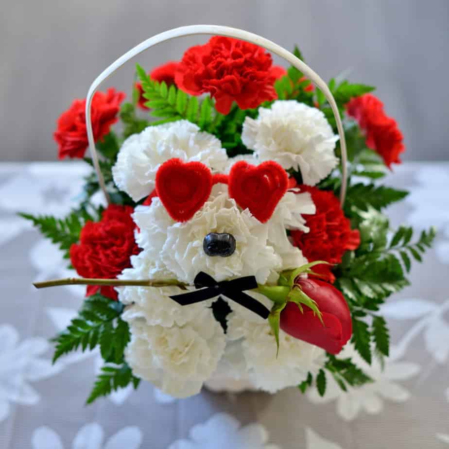 Puppy Love Plumeria Botanical Boutique