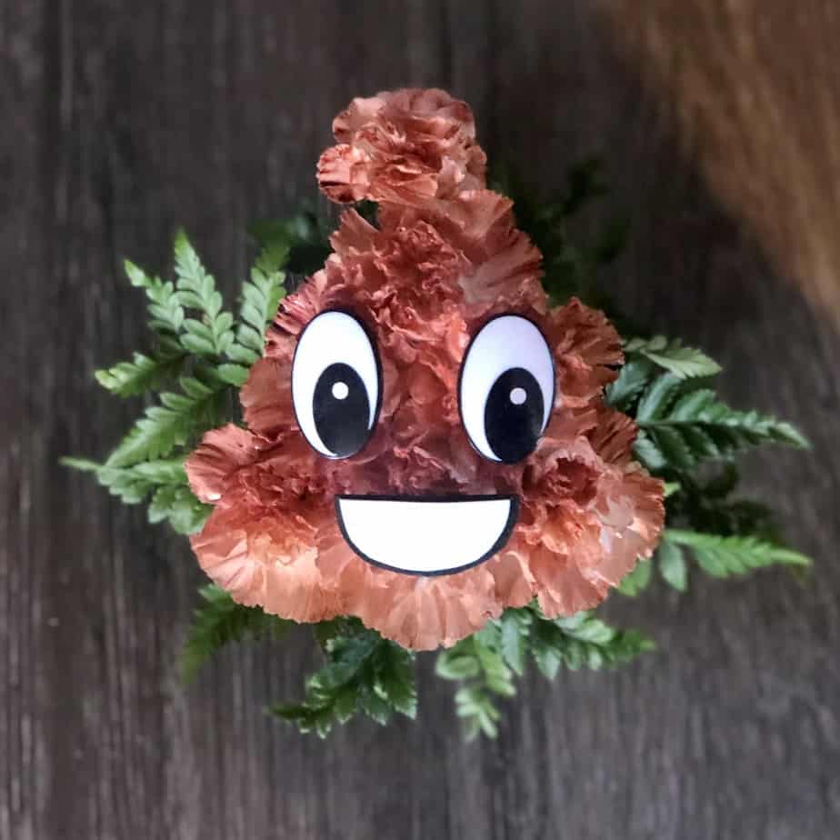 Smiley Poo Plumeria Botanical Boutique