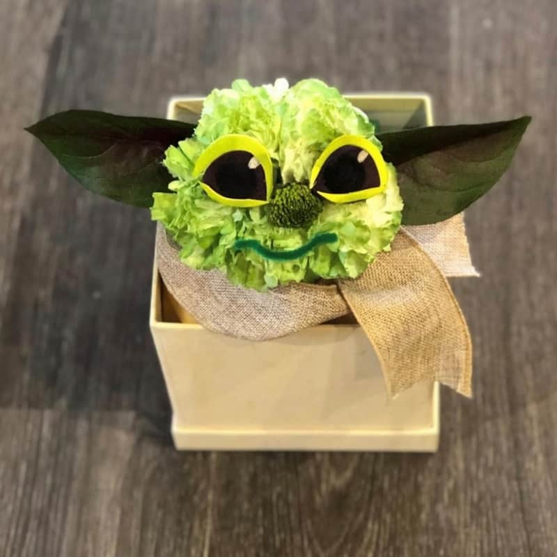 Yoda One For Me Plumeria Botanical Boutique