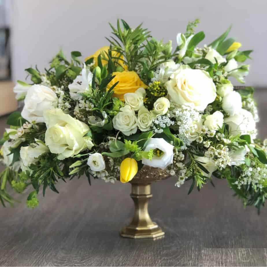 Golden Jubilee Plumeria Botanical Boutique