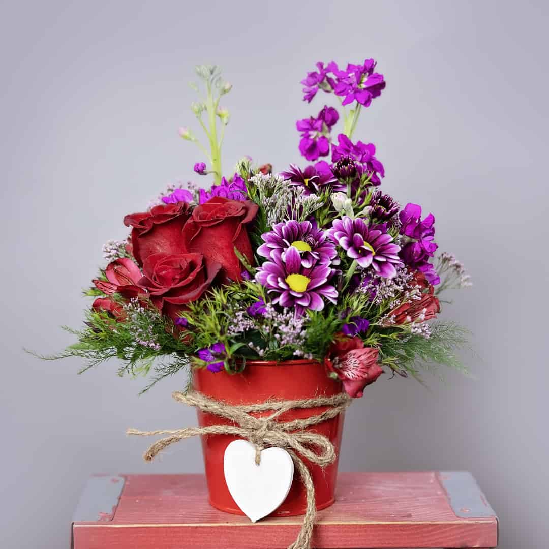 Bucket Of Love Plumeria Botanical Boutique