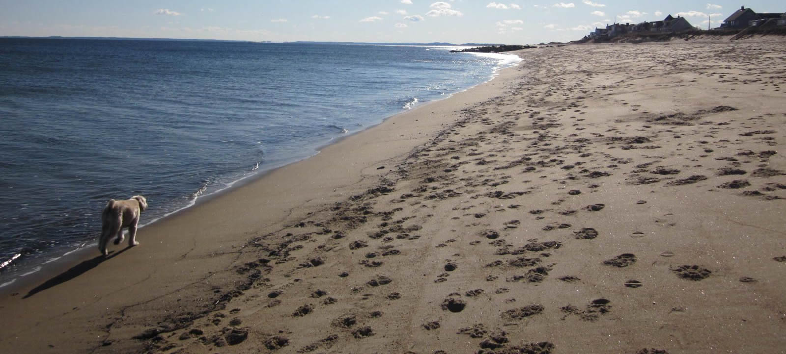 About Plum Island Properties