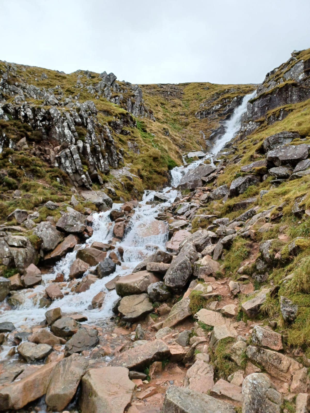 Three Peaks success for Plunkett supporters Plunkett UK