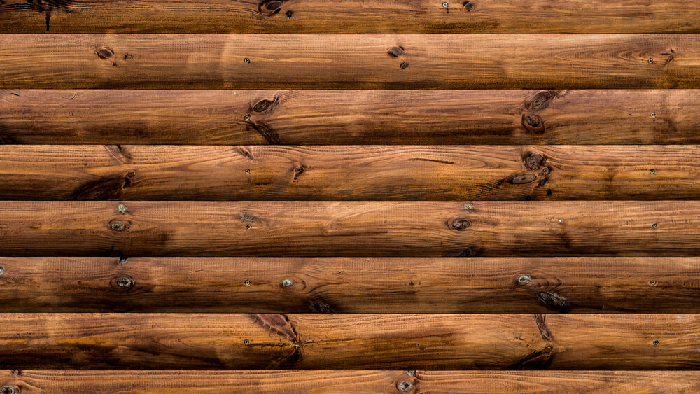 Preventing Pest Problems in Your Cabin Plunkett's Pest Control