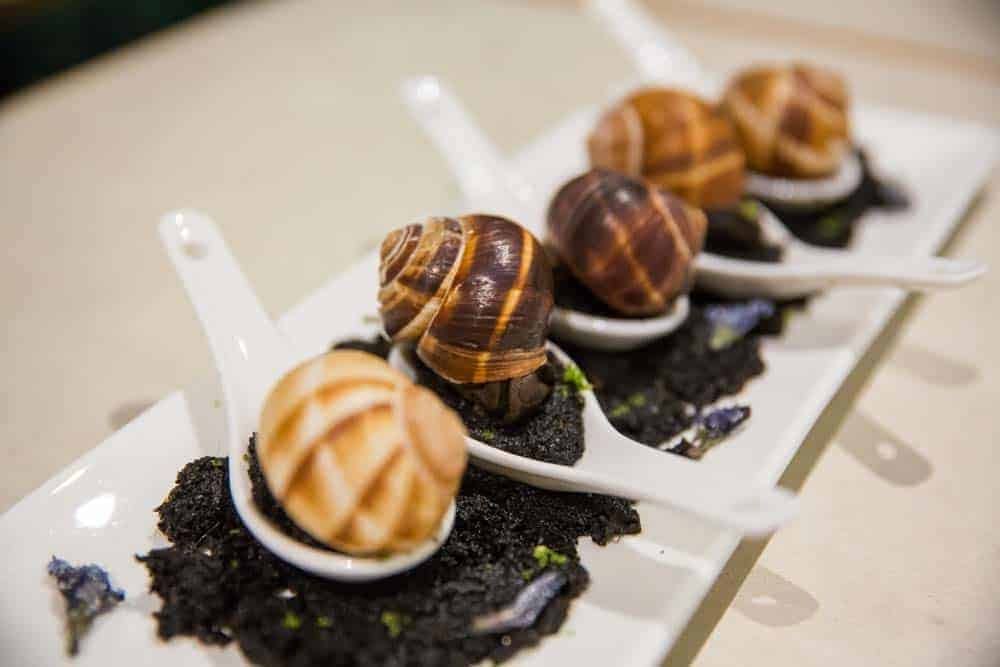 A Three Way with Snails Plural Art Mag