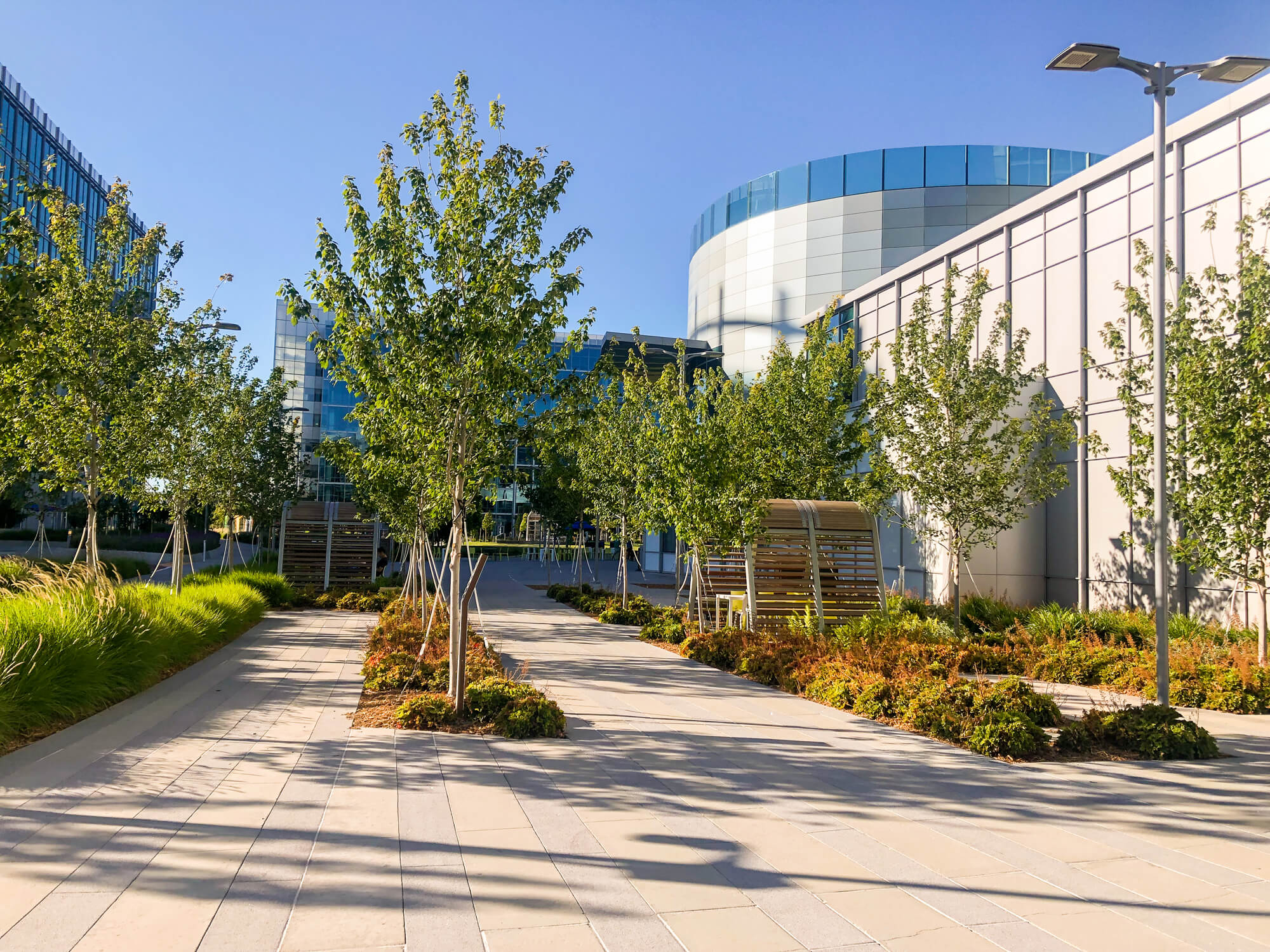 Google Moffett Place PLUS Public Landscape and Urbanism Studio