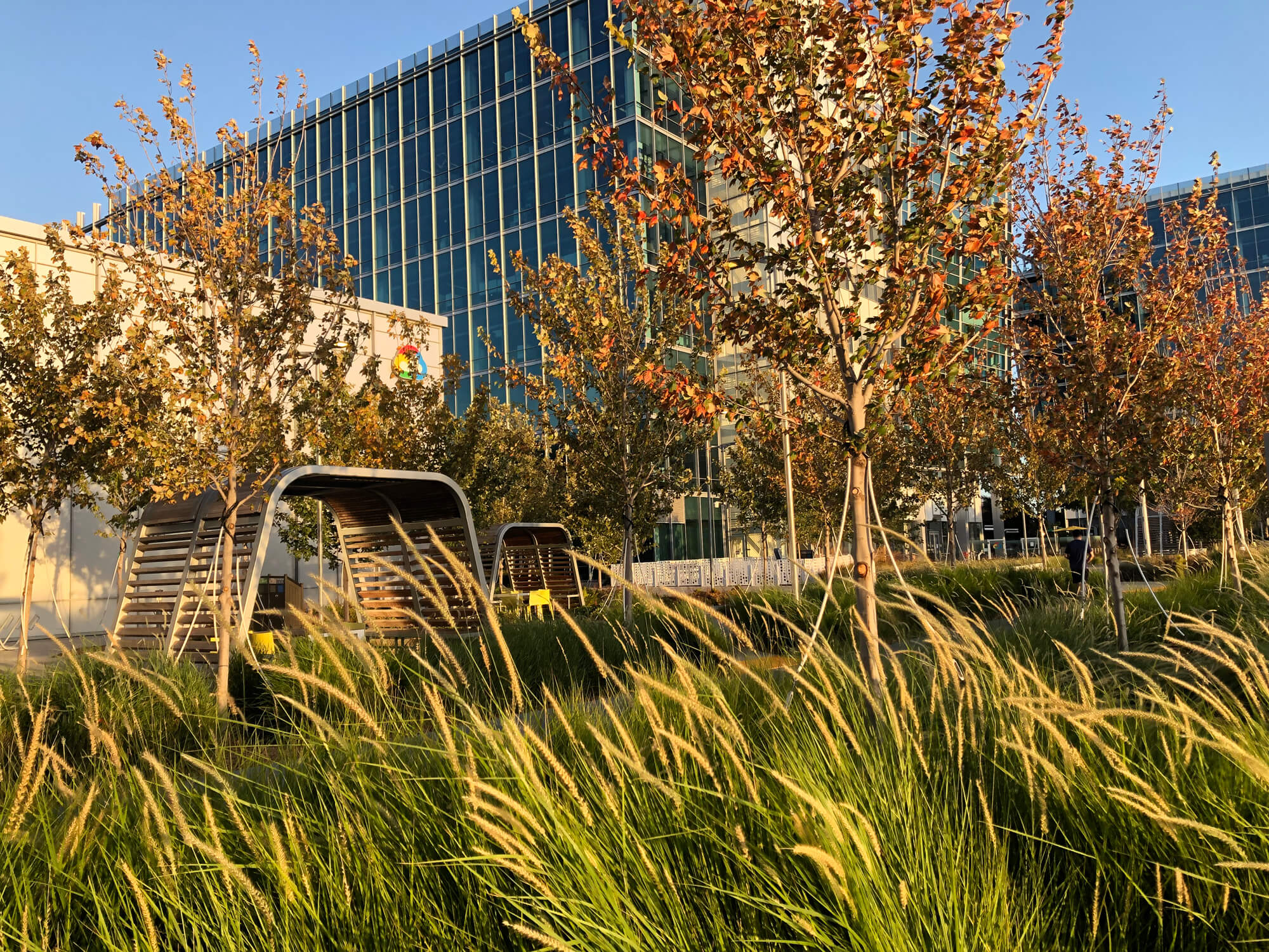 Google Moffett Place PLUS Public Landscape and Urbanism Studio