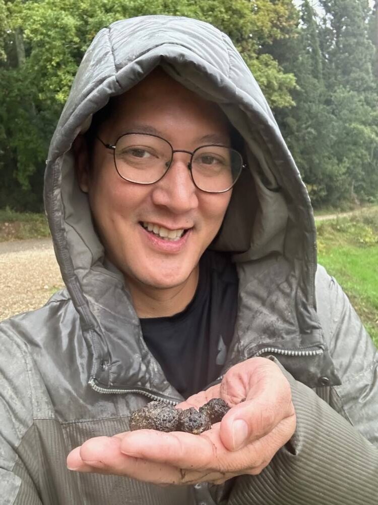 Truffle hunting in Tuscany Philippine Daily Inquirer