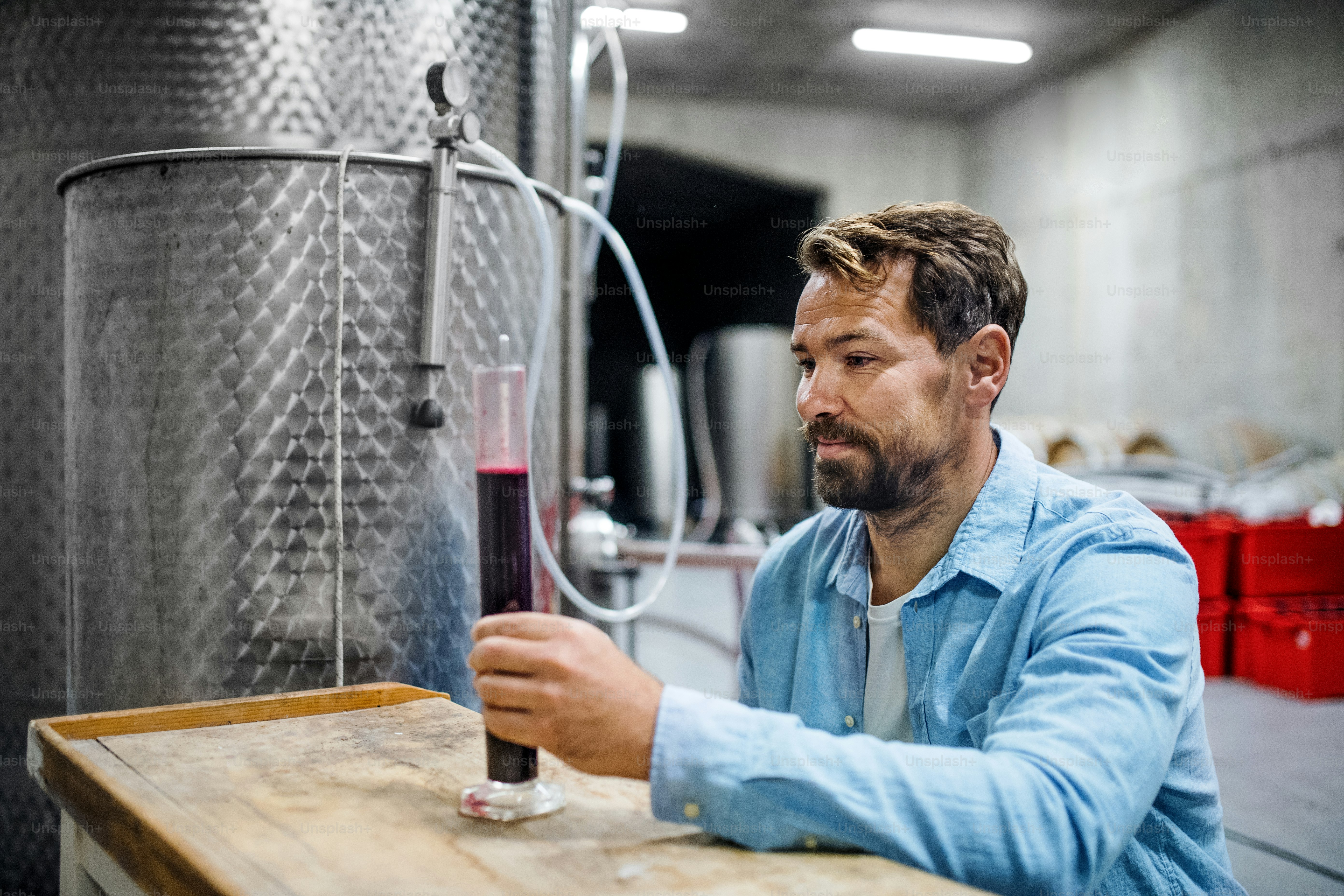 Portrait of man worker working indoors in cellar, wine making concept
