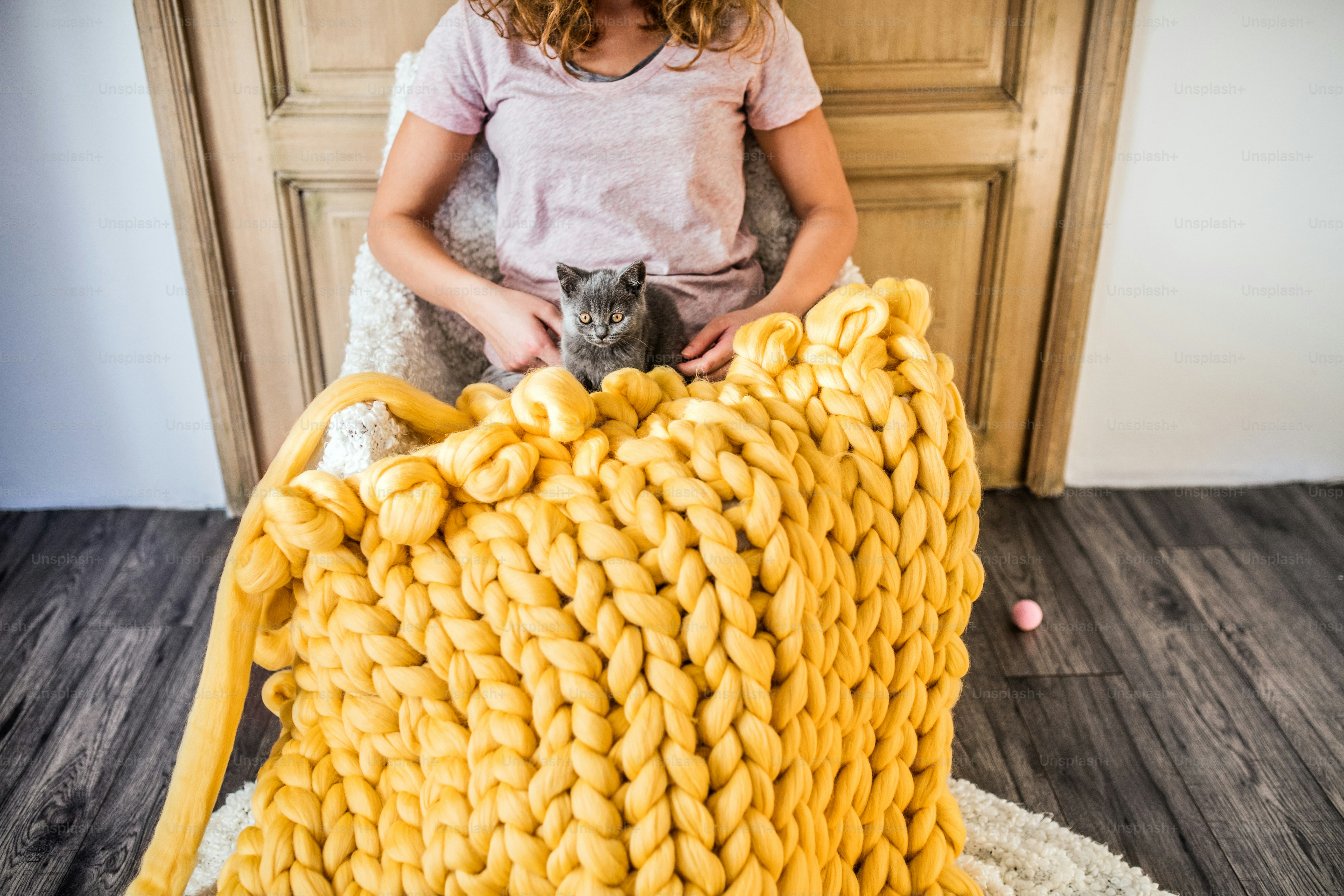 500+ Blanket Pictures Download Free Images & Stock Photos on Unsplash