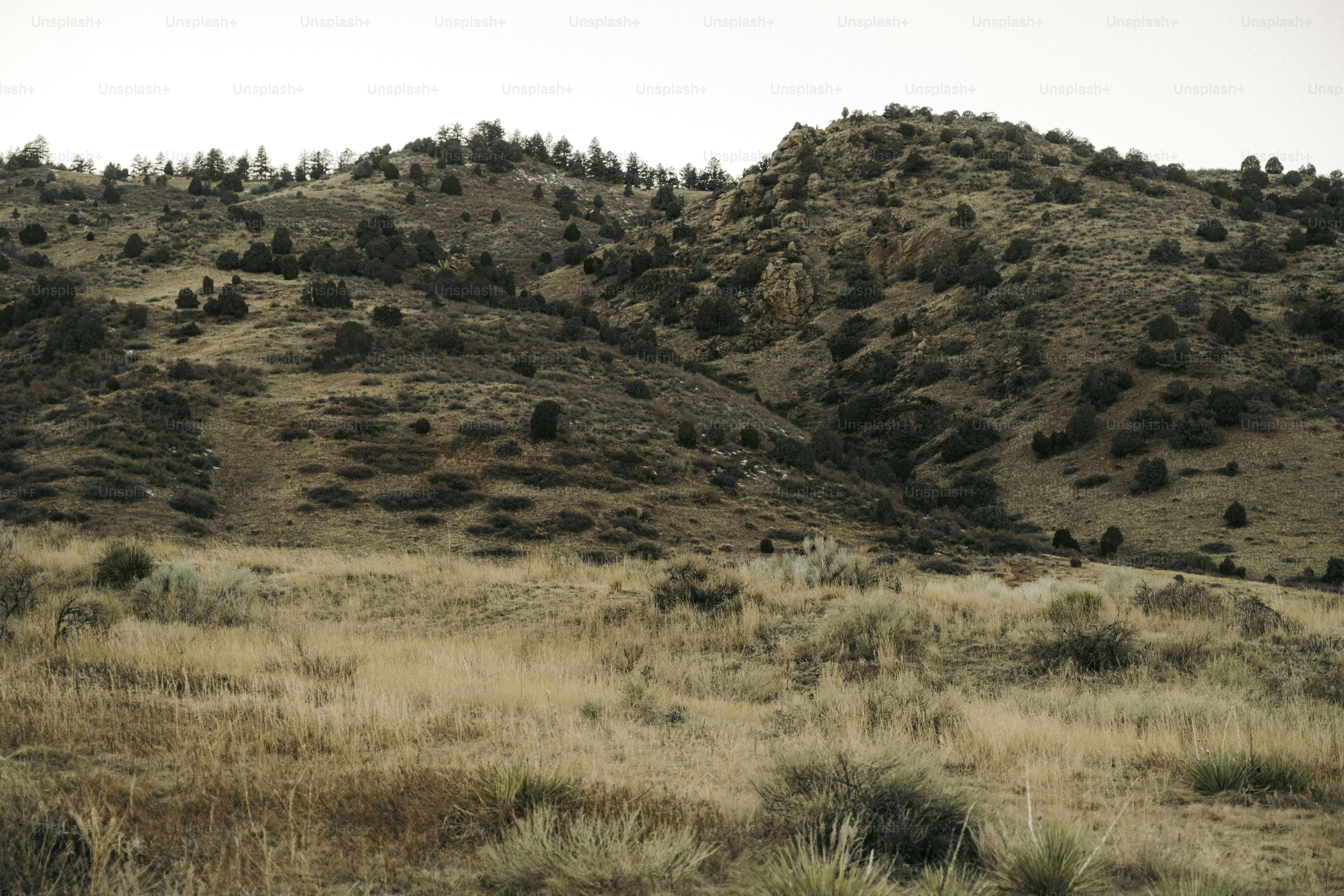 Rust Ridge Ranch Nude Pictures | Download Free Images on Unsplash