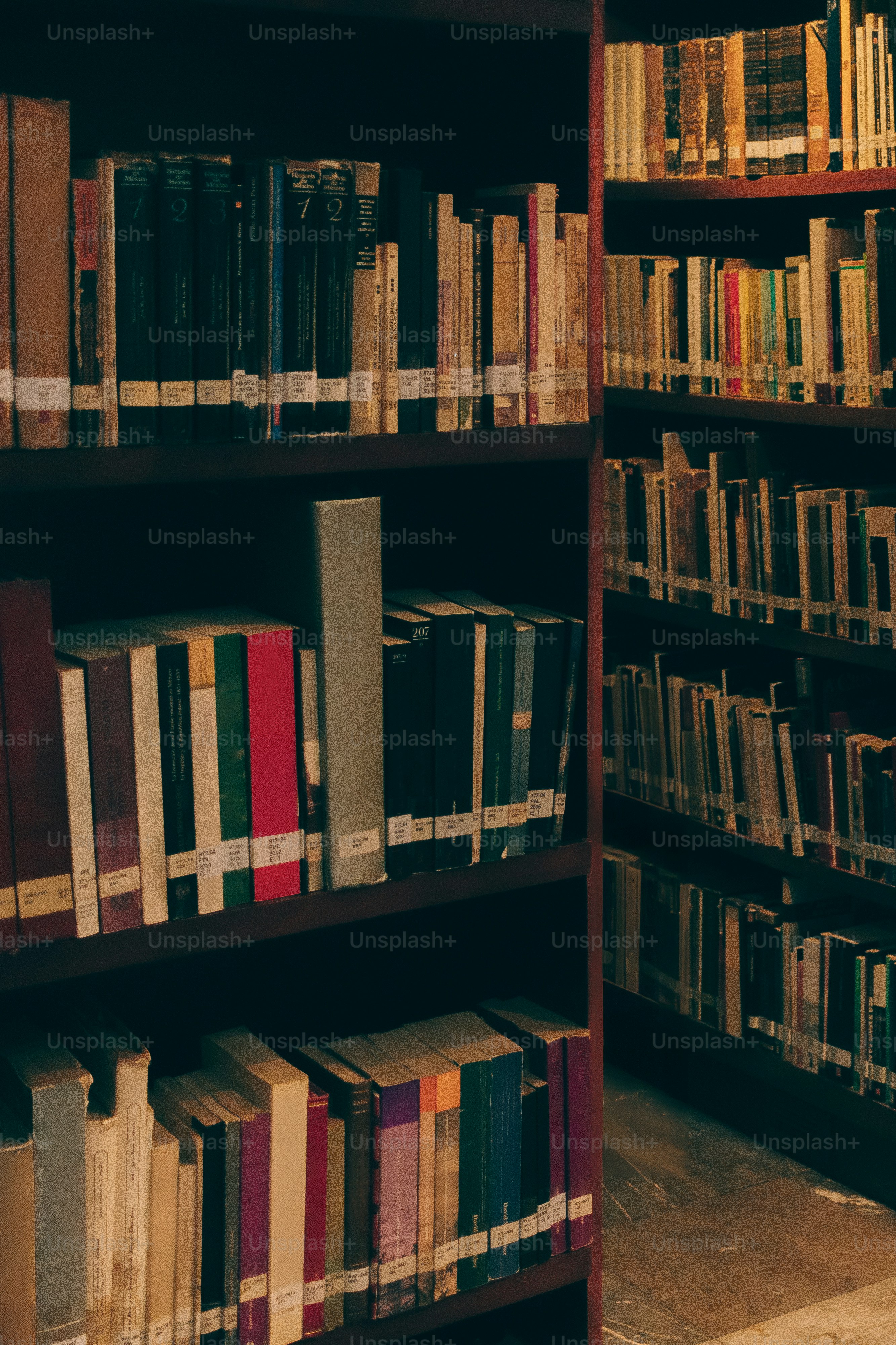 10 Founding Voices That Shaped American Literature