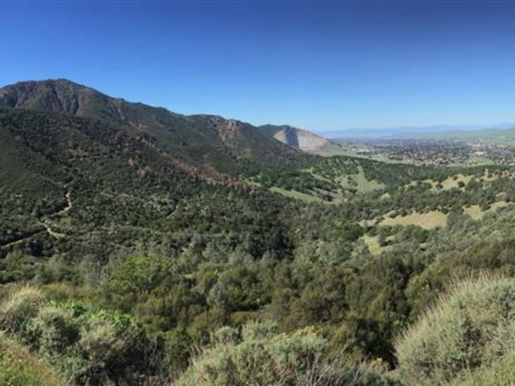 Mount Diablo State Park Camping PlusCamping