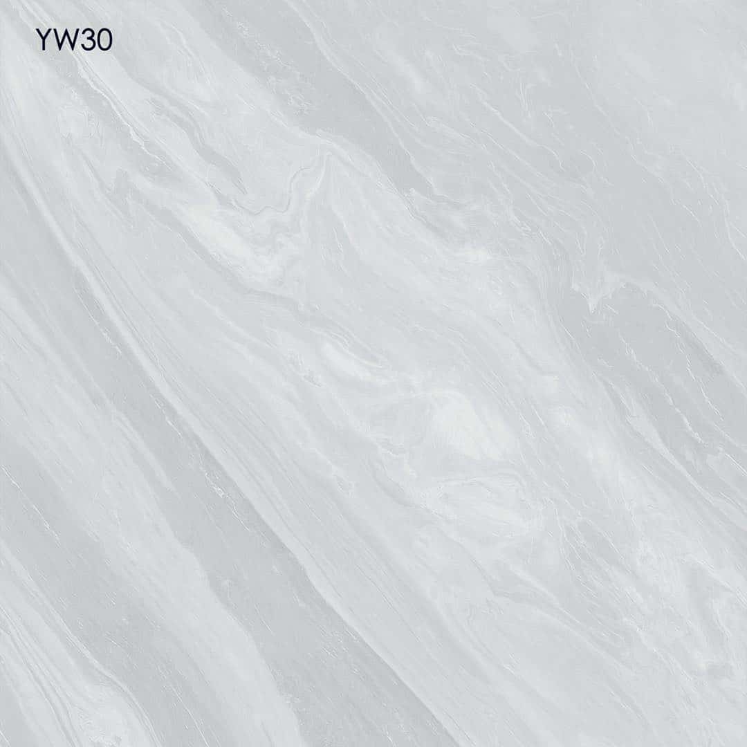 600X600 Premium Porcelain AAA Grade Tiles Plusco Ceramics