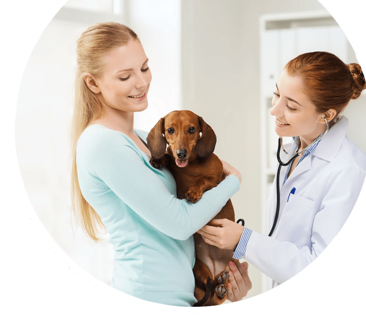 Plus One Vet Vet Clinic Affordable & Compassionate Pet Care