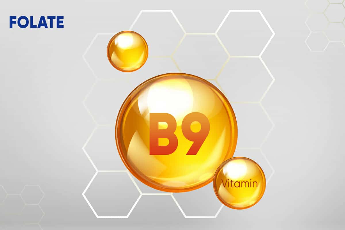 Folate During Pregnancy Why You Need It Plusplus LifeSciences