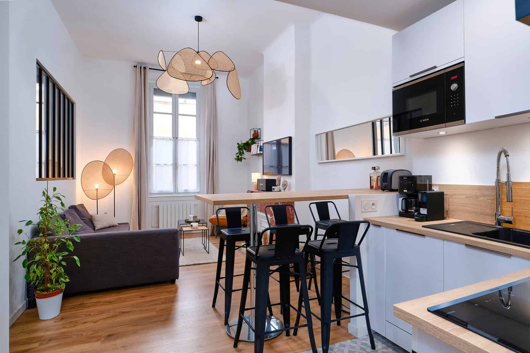 Location 267 rue Vendôme Lyon 69003 T3 Meublé 1090 €CC Plusse