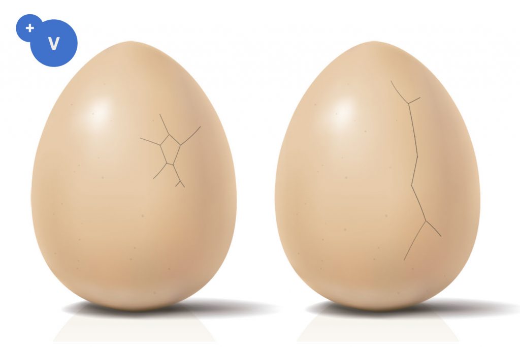 Principal causes of cracked eggs PlusVet Animal Health