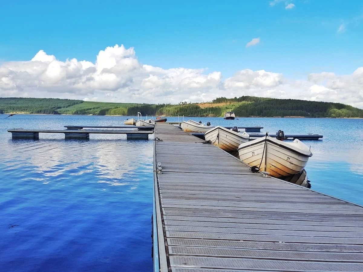 10 tips for visiting Kielder Forest in Northumberland Plutonium Sox