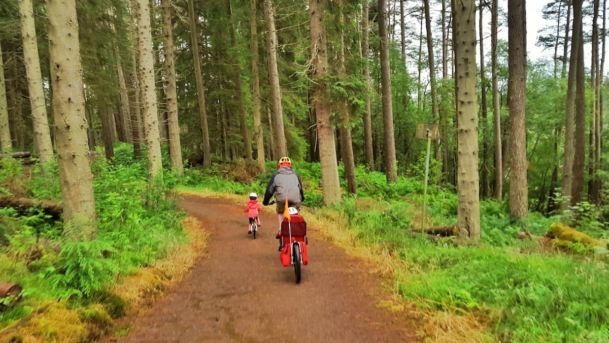10 tips for visiting Kielder Forest in Northumberland Plutonium Sox
