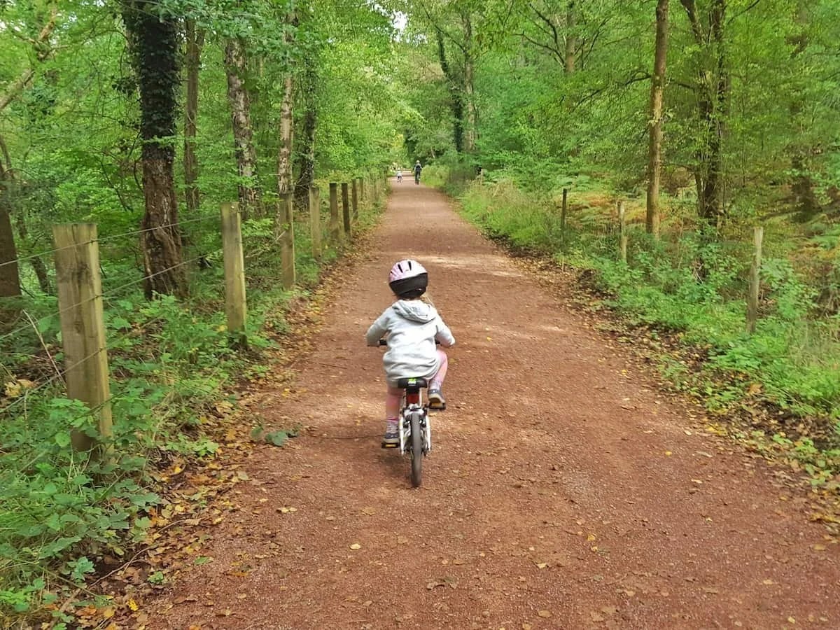 12 things you need to know about cycling in the Forest of Dean Plutonium Sox