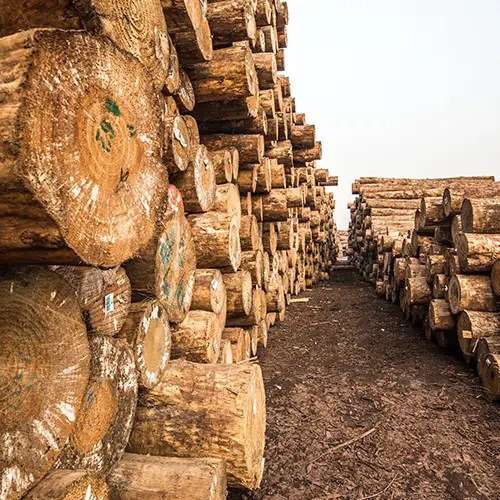 Plyboost's Rigorous Quality Control Measures