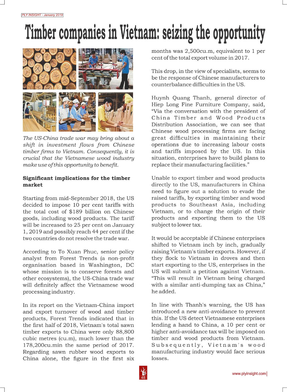 Timber companies in Vietnam PLY INSIGHT