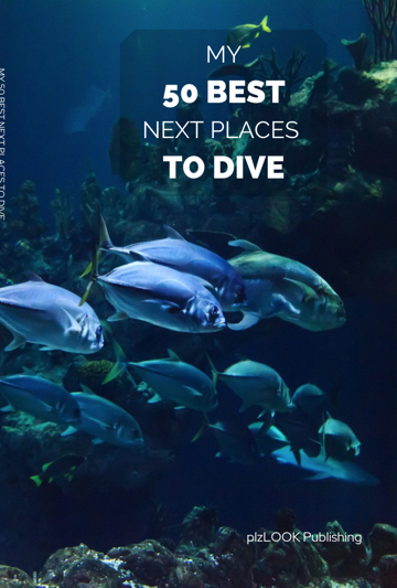 scuba diving with fishes